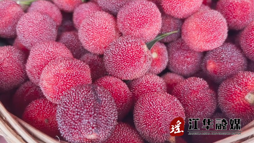 微信截图_20230612100425.png