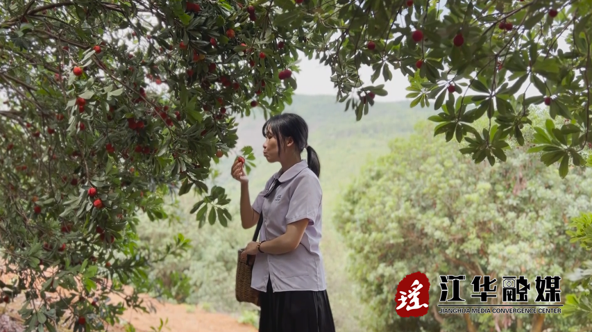 微信截图_20230612100335.png