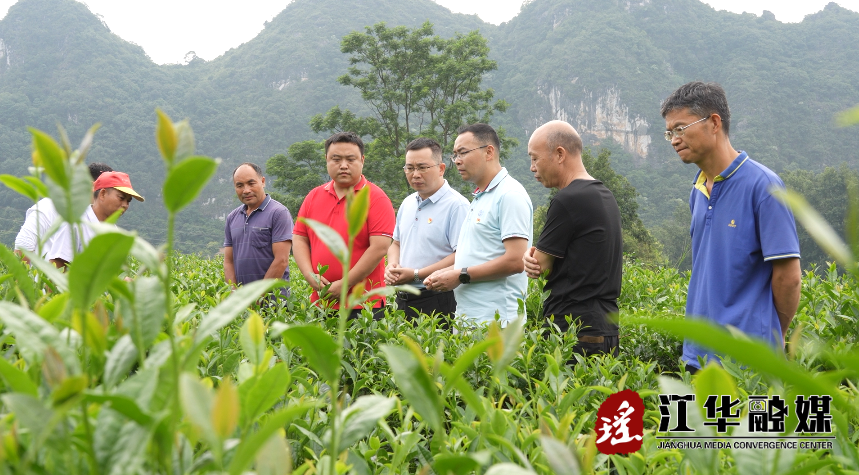 微信截图_20230614090848.png