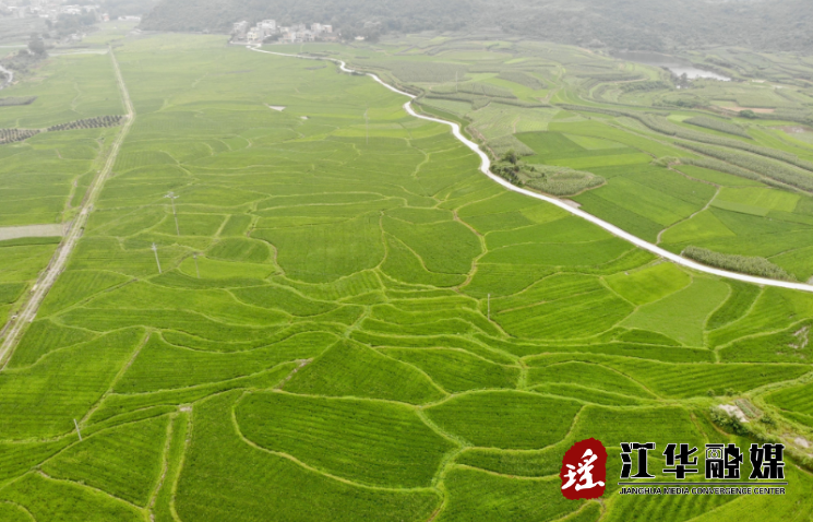 微信截图_20230615100905.png