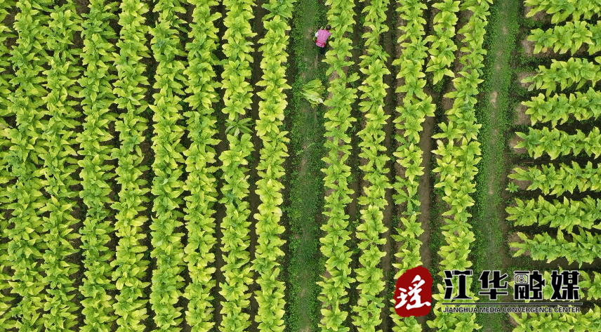 微信截图_20230615094048.png