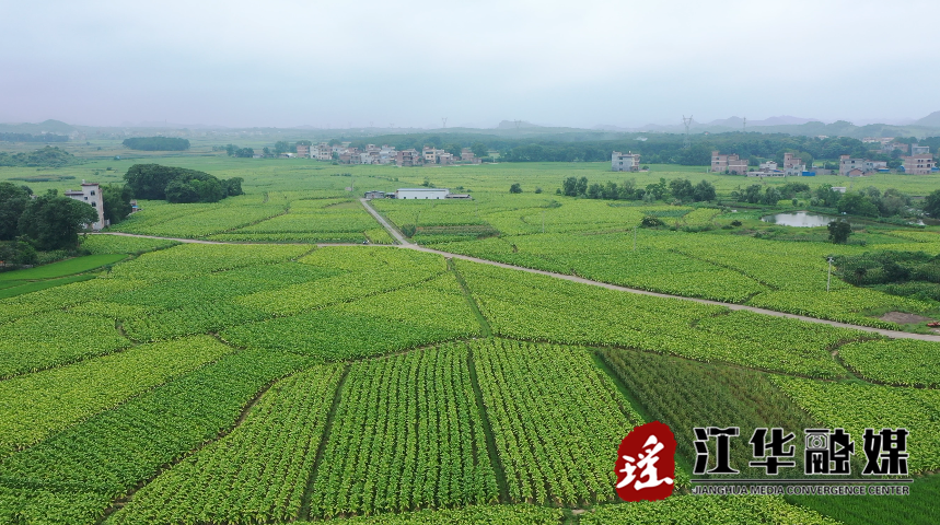 微信截图_20230615094101.png