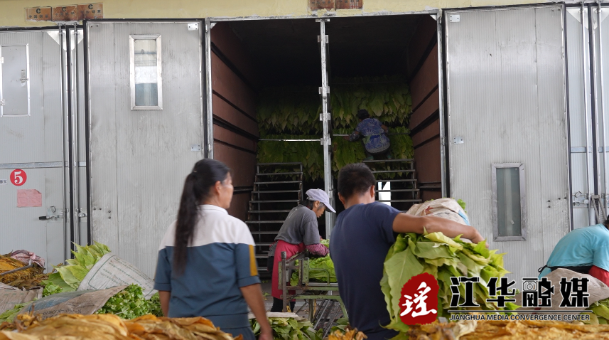 微信截图_20230615094319.png