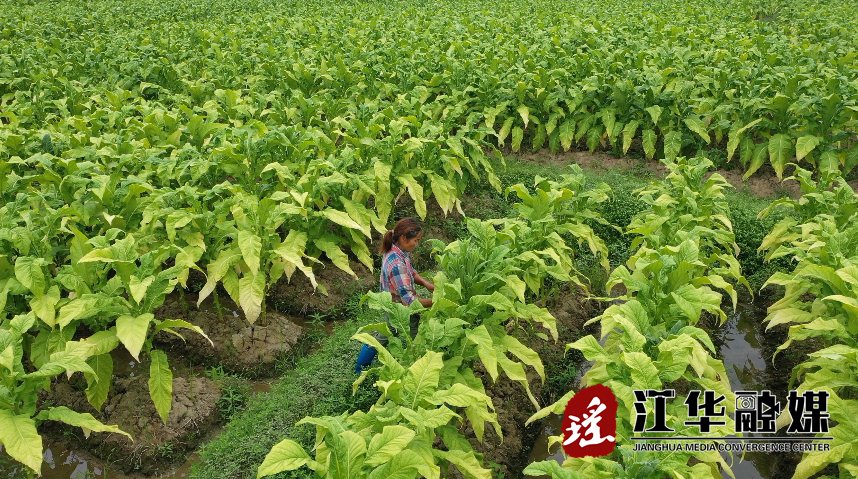 微信截图_20230615094110.png