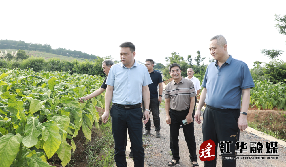 微信截图_20230616101928.png