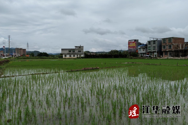微信截图_20230627144855.png