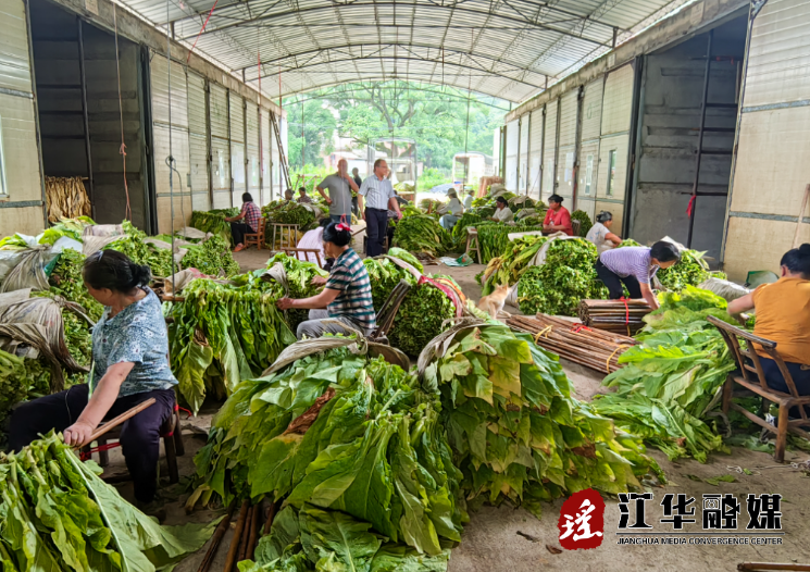 微信截图_20230629152603.png