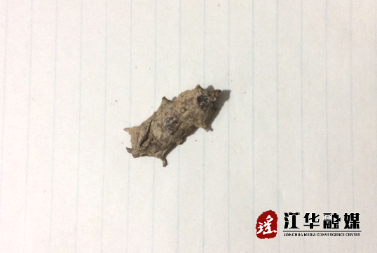 微信截图_20230701180040.png
