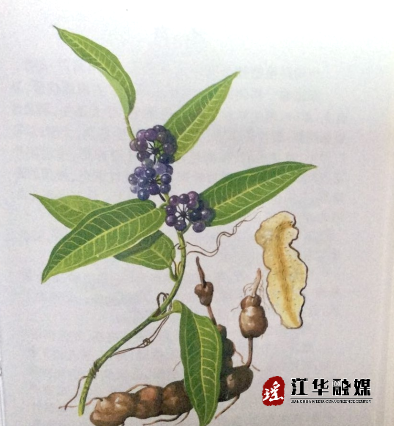 微信截图_20230701180035.png