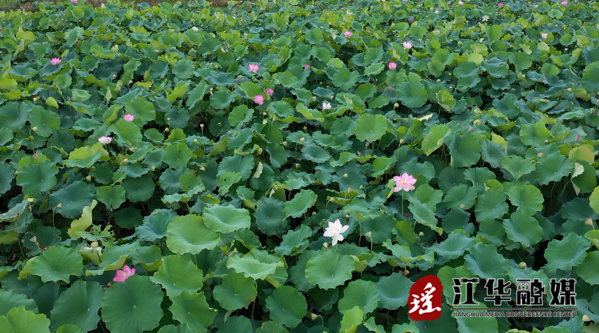 微信截图_20230703155239.png