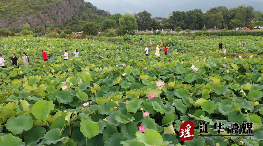 微信截图_20230703155412.png
