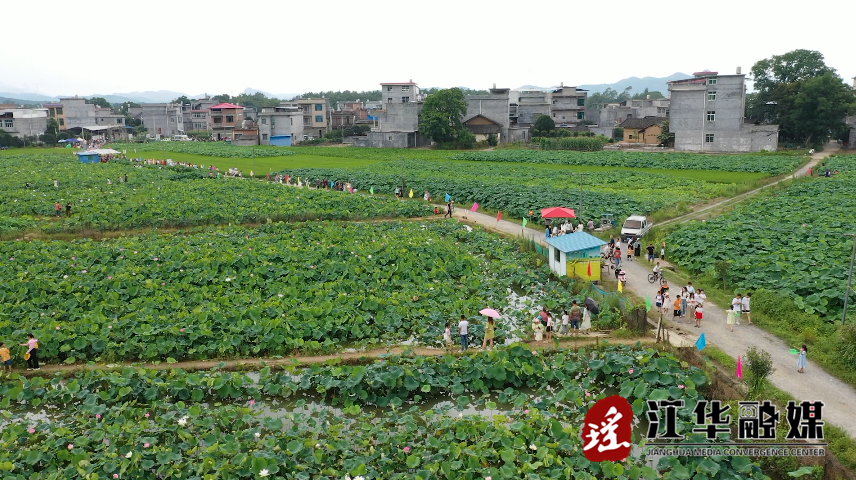 微信截图_20230703155226.png