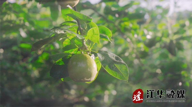 微信截图_20230712154502.png