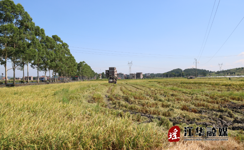 微信截图_20230714154226.png