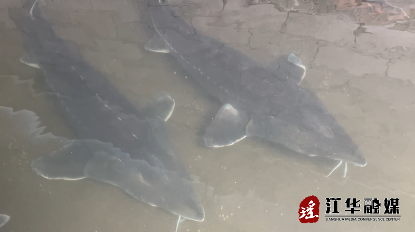 微信截图_20230807104946.png