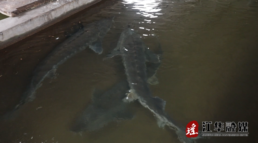 微信截图_20230807104848.png