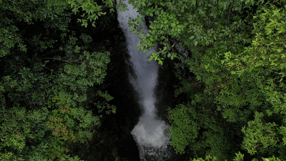 DJI_0520[00-00-01--00-00-06].gif