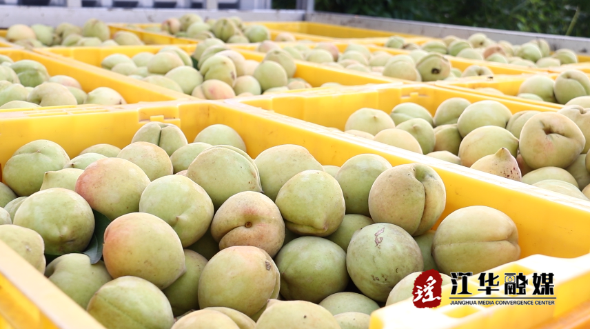 微信截图_20230815103129.png
