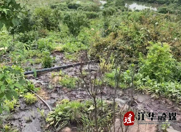 微信截图_20230816100159.png