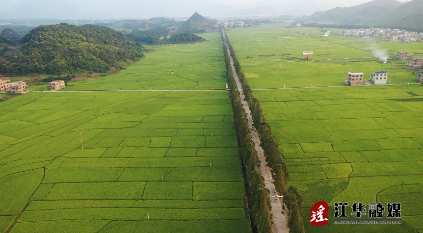 微信截图_20231009093737.png