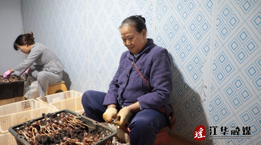 微信截图_20231016102333.png