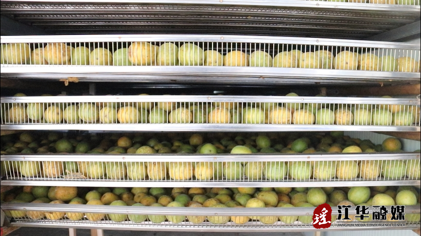 微信截图_20231024095932.png