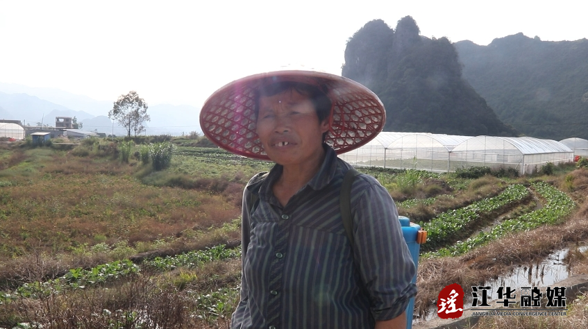 吴翠英.png