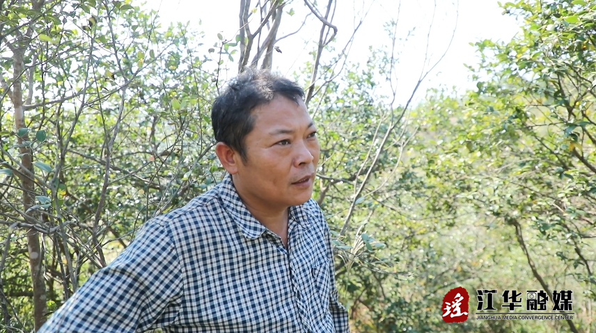 曾宪宇.png