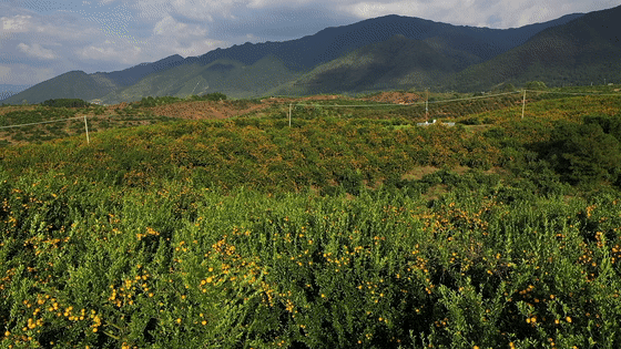 DJI_0929[00-00-01--00-00-06].gif