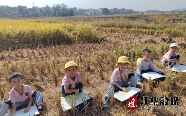 微信截图_20231103153237.png
