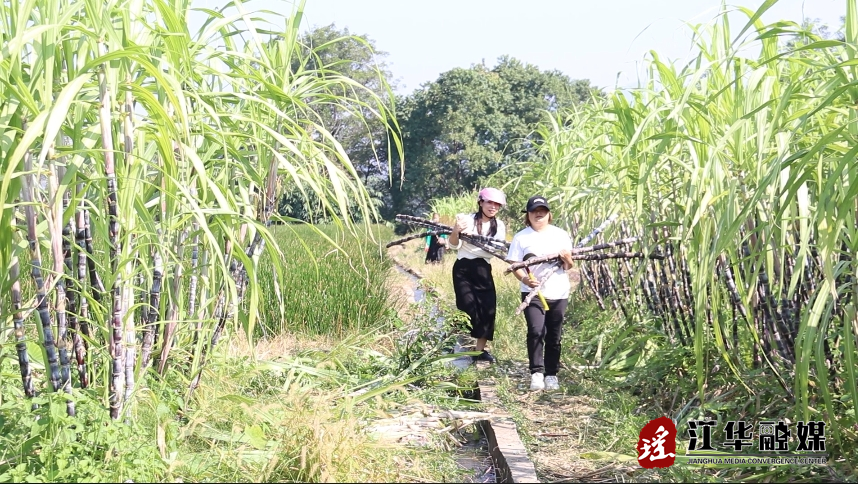 微信截图_20231102094719.png