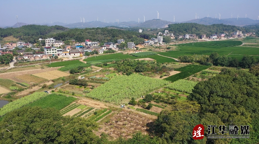 微信截图_20231102094410.png