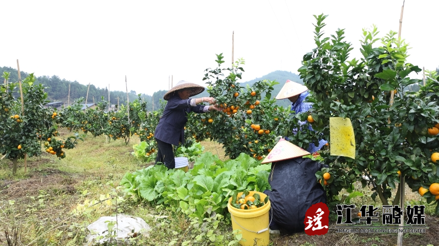 微信截图_20231108161011.png