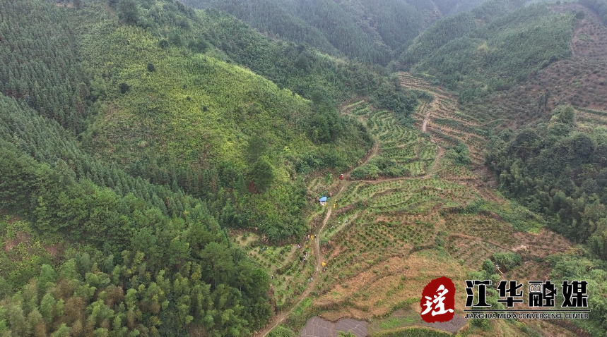 微信截图_20231108160939.png