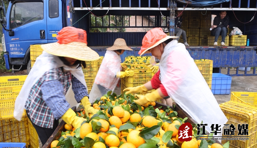 微信截图_20231108161220.png