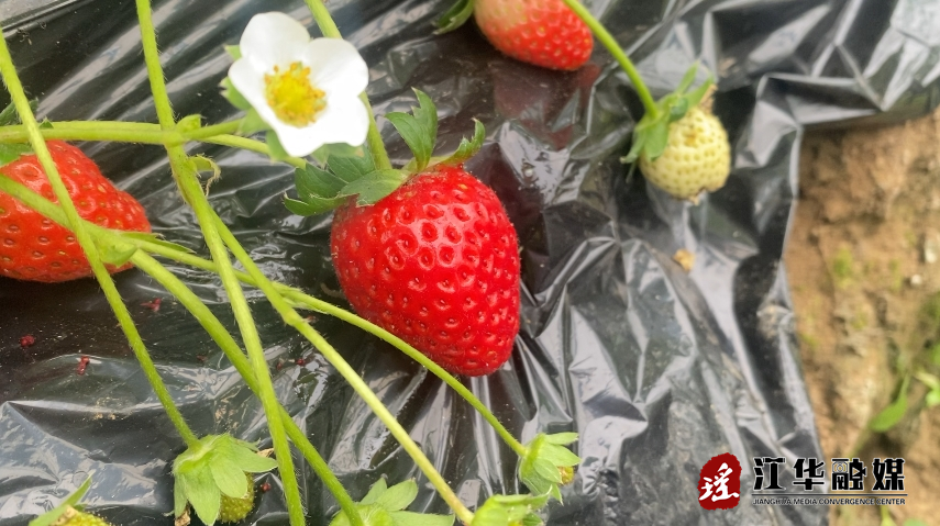 微信截图_20231109092100.png