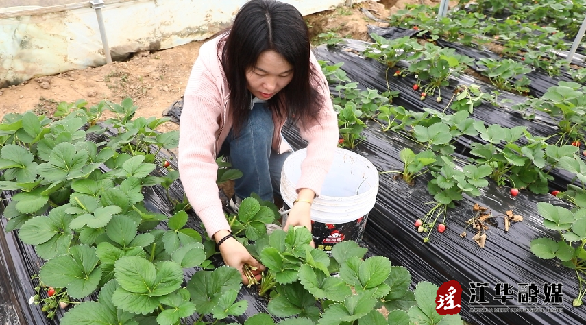 微信截图_20231109092231.png