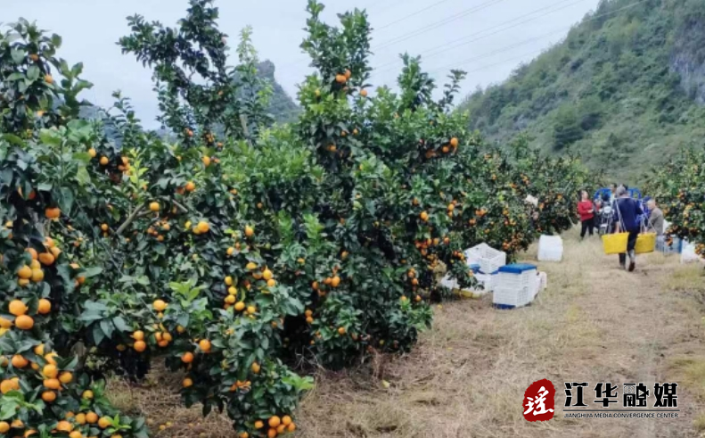 微信截图_20231110143943.png