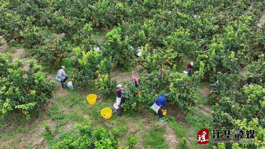 微信截图_20231113101716.png
