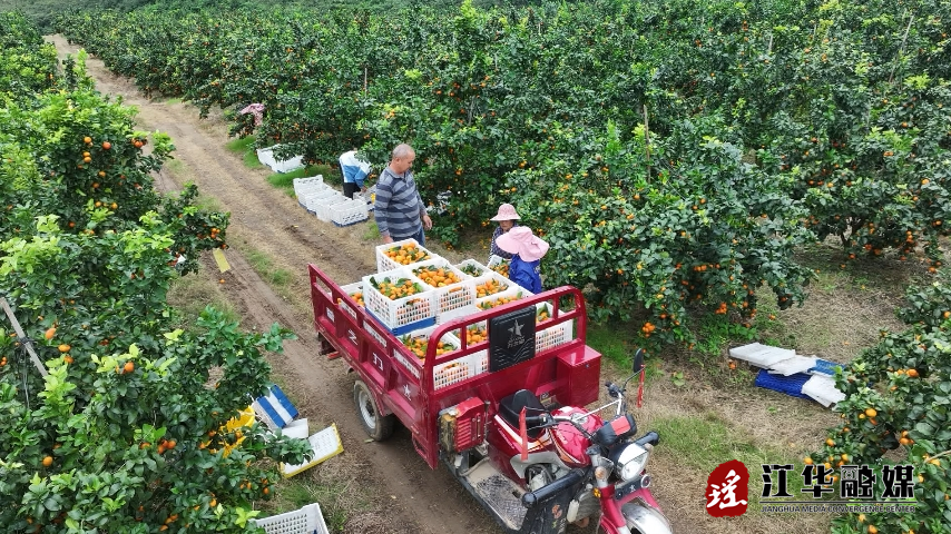 微信截图_20231113101909.png