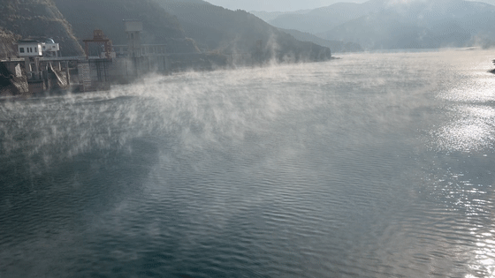 IMG_2584[00-00-02--00-00-06].gif