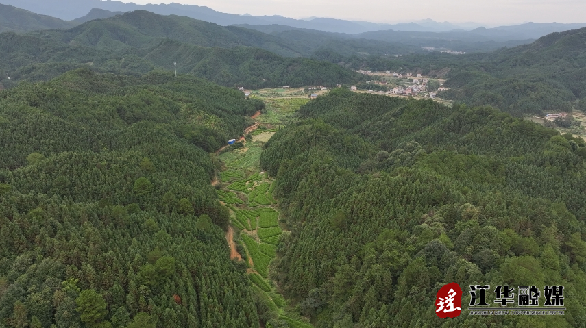 微信截图_20231117153031.png