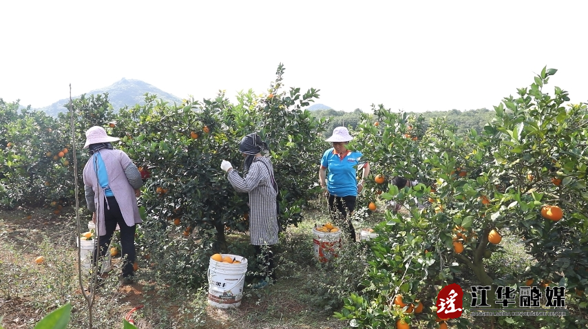 微信截图_20231212102502.png