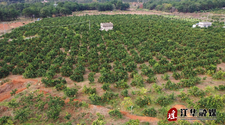 微信截图_20231212102411.png