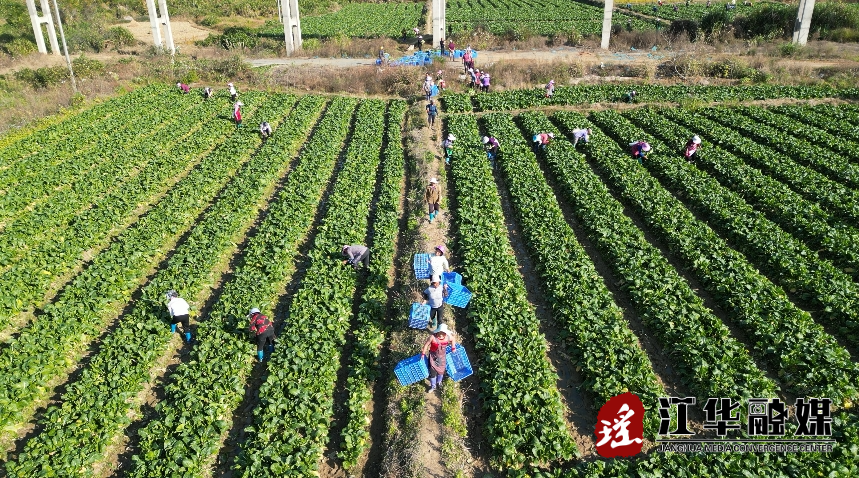 微信截图_20231212162100.png