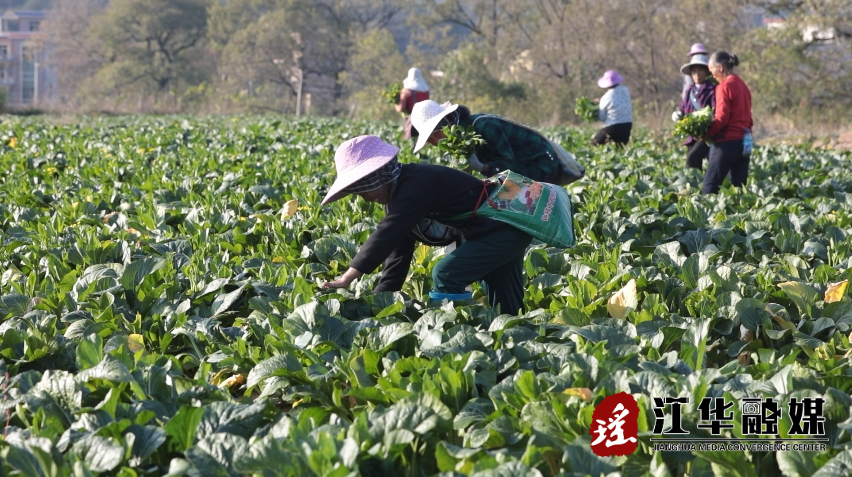 微信截图_20231212162149.png