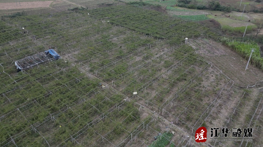 微信截图_20231225110655.png