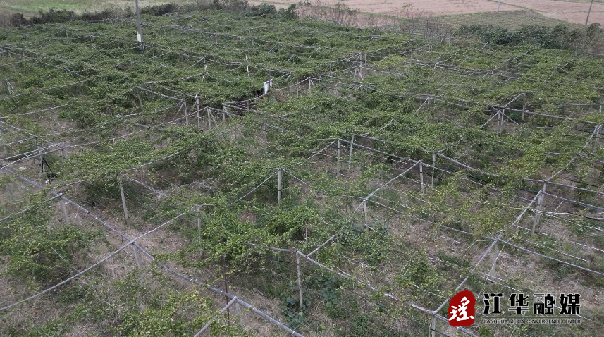 微信截图_20231225110707.png