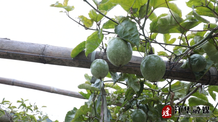 微信截图_20231225110823.png