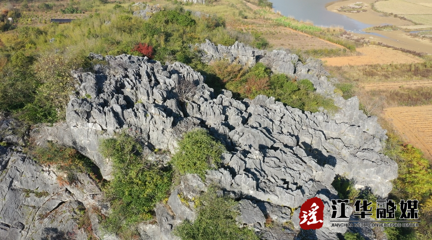 微信截图_20231226102004.png